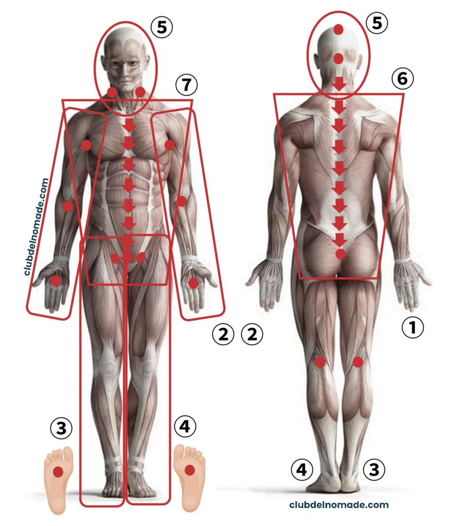 Protocolos iTera 2